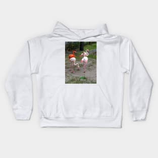 Pink and red flamingos Kids Hoodie